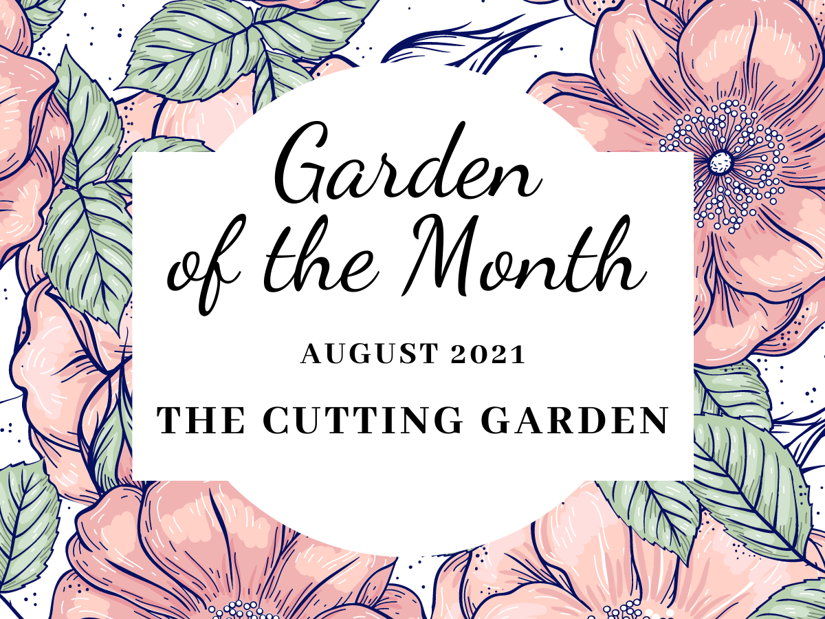 Garden of the Month August 2021