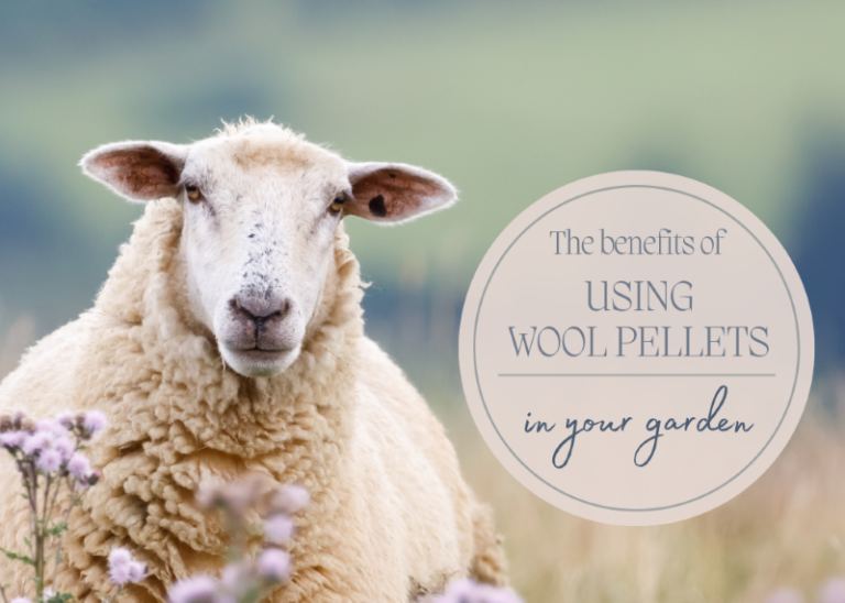 The Benefits of Using Wool Pellets in your Garden Horticulture Centre